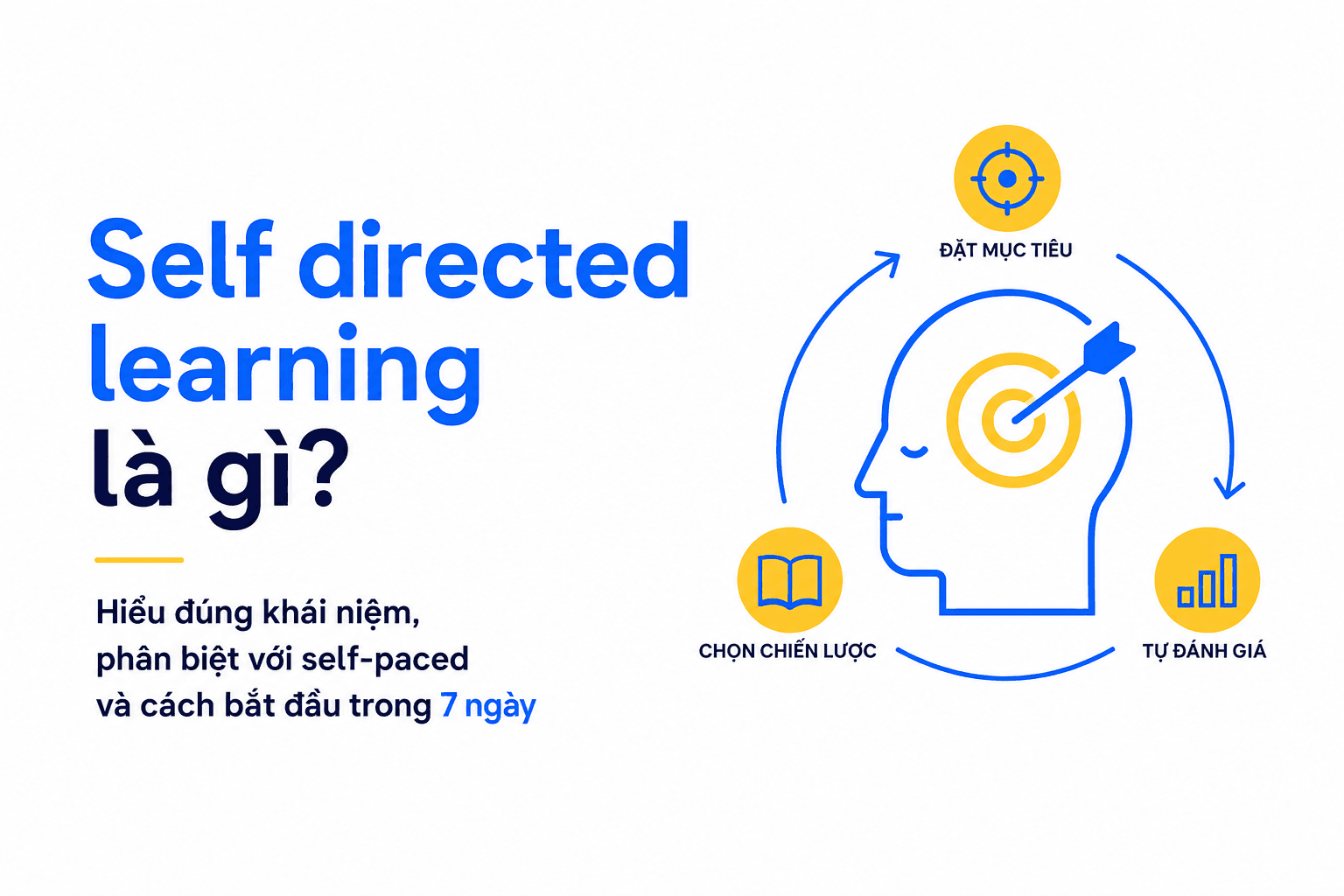 Self directed learning là gì? Hiểu đúng khái niệm, phân biệt với self-paced và cách bắt đầu trong 7 ngày